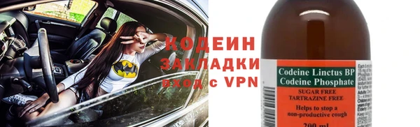 молекула духа Пестово