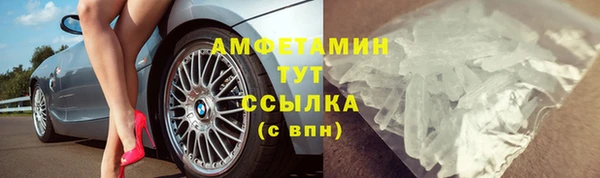 дживик Пересвет