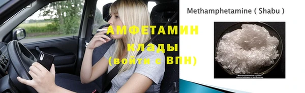 молекула духа Пестово