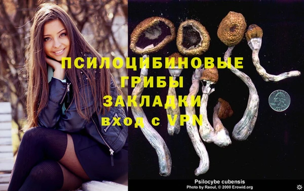 дживик Пересвет