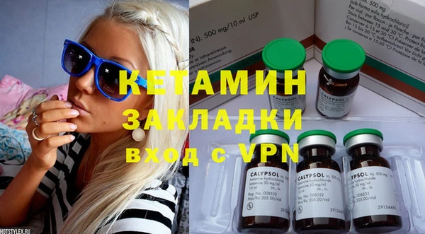 дживик Пересвет