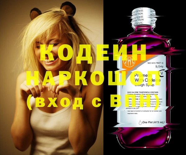 молекула духа Пестово