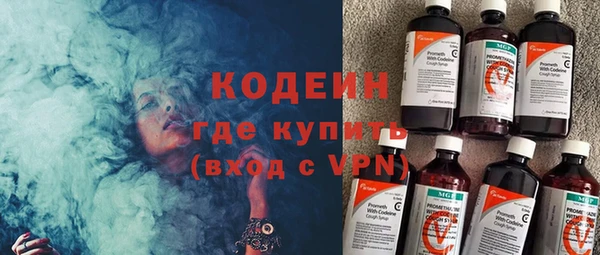 молекула духа Пестово