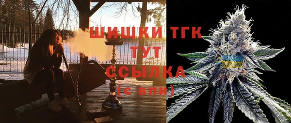 молекула духа Пестово