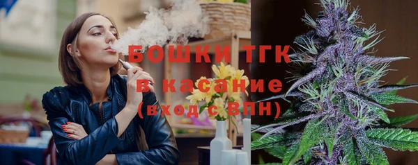 молекула духа Пестово