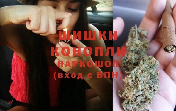 ПСИЛОЦИБИНОВЫЕ ГРИБЫ Переславль-Залесский