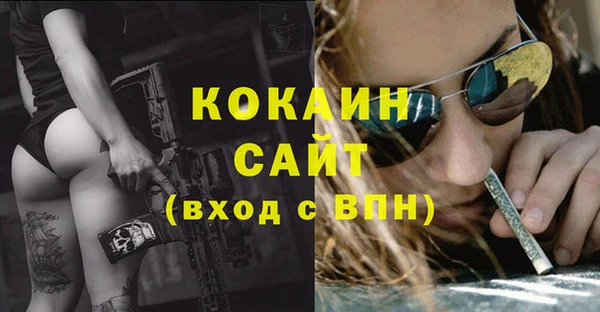 ПСИЛОЦИБИНОВЫЕ ГРИБЫ Переславль-Залесский